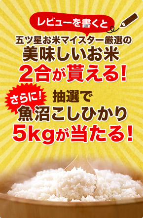 レビューを書くとプレゼントが当たる